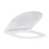 Сиденье для унитаза GROHE Essence Ceramic (без микролифта), альпин-белый (39576000) Сиденье для унитаза GROHE Essence Ceramic (без микролифта), альпин-белый (39576000)