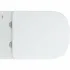 Подвесной унитаз GROHE Euro Ceramic, альпин-белый (39328000) Подвесной унитаз GROHE Euro Ceramic, альпин-белый (39328000)