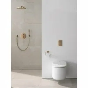 Держатель для туалетной бумаги без крышки GROHE Essentials, тёплый закат глянец (40689DA1) Держатель для туалетной бумаги без крышки GROHE Essentials, тёплый закат глянец (40689DA1)