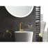 Кольцо для полотенца GROHE Essentials, холодный рассвет матовый (40365GN1) Кольцо для полотенца GROHE Essentials, холодный рассвет матовый (40365GN1)