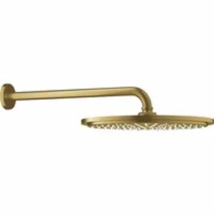 Верхний душ GROHE Rainshower Cosmopolitan 310, 8 л/мин, 1 режим, 380 мм, холодный рассвет матовый (26066GN0) Верхний душ GROHE Rainshower Cosmopolitan 310, 8 л/мин, 1 режим, 380 мм, холодный рассвет матовый (26066GN0)