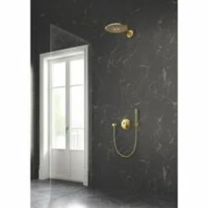 Душевой шланг GROHE Silverflex 1250 мм, с защитой от перекручивания, холодный рассвет глянец (28362GL0) Душевой шланг GROHE Silverflex 1250 мм, с защитой от перекручивания, холодный рассвет глянец (28362GL0)