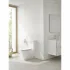 Сиденье для унитаза с микролифтом GROHE Essence Ceramic, альпин-белый (39577000) Сиденье для унитаза с микролифтом GROHE Essence Ceramic, альпин-белый (39577000)
