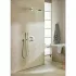 Верхний душ GROHE Rainshower Cosmopolitan Metal 310, 8 л/мин, 1 режим, 380 мм, хром (26066000) Верхний душ GROHE Rainshower Cosmopolitan Metal 310, 8 л/мин, 1 режим, 380 мм, хром (26066000)