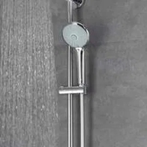 Ручной душ GROHE Euphoria 110 Massage, 3 режима, хром (27221000) Ручной душ GROHE Euphoria 110 Massage, 3 режима, хром (27221000)