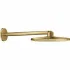 Верхний душ GROHE Rainshower SmartActive 310, 2 режима, 430 мм, холодный рассвет матовый (26475GN0) Верхний душ GROHE Rainshower SmartActive 310, 2 режима, 430 мм, холодный рассвет матовый (26475GN0)