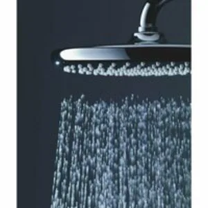 Верхний душ GROHE Tempesta 250, 9,5 л/мин, 1 режим, 380 мм, хром/белый (26668000) Верхний душ GROHE Tempesta 250, 9,5 л/мин, 1 режим, 380 мм, хром/белый (26668000)
