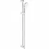 Душевой гарнитур GROHE Tempesta 100, 1 вид струи, хром (27925001) Душевой гарнитур GROHE Tempesta 100, 1 вид струи, хром (27925001)