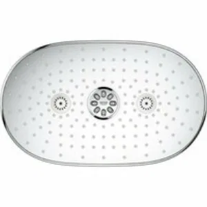 Верхний душ GROHE Rainshower DUO 360х220, 40 л/мин, 2 режима, 450 мм, хром (26254000) Верхний душ GROHE Rainshower DUO 360х220, 40 л/мин, 2 режима, 450 мм, хром (26254000)
