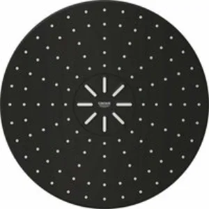 Верхний душ GROHE Rainshower SmartActive 310, 2 режима, 430 мм, фантомный черный (22123KF0) Верхний душ GROHE Rainshower SmartActive 310, 2 режима, 430 мм, фантомный черный (22123KF0)