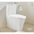 Унитаз-моноблок напольный GROHE Eurostyle, альпин-белый (39310000) Унитаз-моноблок напольный GROHE Eurostyle, альпин-белый (39310000)
