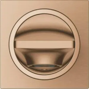 Излив для ванны GROHE Allure, теплый закат матовый (13264DL1) Излив для ванны GROHE Allure, теплый закат матовый (13264DL1)