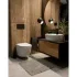Комплект инсталляции GROHE 38775001 с унитазом AQUAme AQM2002PRO и сиденьем с микролифтом (NW0168/S) Комплект инсталляции GROHE 38775001 с унитазом AQUAme AQM2002PRO и сиденьем с микролифтом (NW0168/S)