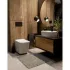 Комплект инсталляции GROHE NW0145/S с унитазом AQUAme AQM2004 и сиденьем с микролифтом (NW0184/S) Комплект инсталляции GROHE NW0145/S с унитазом AQUAme AQM2004 и сиденьем с микролифтом (NW0184/S)