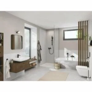 Держатель для туалетной бумаги GROHE Essentials с крышкой, матовый черный (1024652430) Держатель для туалетной бумаги GROHE Essentials с крышкой, матовый черный (1024652430)
