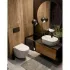 Комплект инсталляции GROHE NW0145/S с унитазом AQUAme AQM2002PRO и сиденьем с микролифтом (NW0183) Комплект инсталляции GROHE NW0145/S с унитазом AQUAme AQM2002PRO и сиденьем с микролифтом (NW0183)