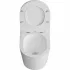 Комплект инсталляции GROHE Rapid SL NW0145/S с унитазом Aquatek ТАУРУС AQ1580T-00 и сиденьем с микролифтом (NW0350) Комплект инсталляции GROHE Rapid SL NW0145/S с унитазом Aquatek ТАУРУС AQ1580T-00 и сиденьем с микролифтом (NW0350)