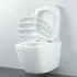 Унитаз подвесной компактный GROHE Euro Ceramic с сиденьем, альпин-белый (NW0354) Унитаз подвесной компактный GROHE Euro Ceramic с сиденьем, альпин-белый (NW0354)