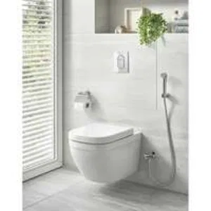 Унитаз подвесной компактный GROHE Euro Ceramic с сиденьем, альпин-белый (NW0354) Унитаз подвесной компактный GROHE Euro Ceramic с сиденьем, альпин-белый (NW0354)
