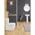 Напольный унитаз GROHE Euro Ceramic с сиденьем, альпин-белый (NW0357) Напольный унитаз GROHE Euro Ceramic с сиденьем, альпин-белый (NW0357)