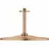 Верхний душ GROHE Rainshower 310 Mono с душевым кронштейном, теплый закат матовый (26560DL0) Верхний душ GROHE Rainshower 310 Mono с душевым кронштейном, теплый закат матовый (26560DL0)