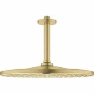 Верхний душ GROHE Rainshower 310 Mono с душевым кронштейном, холодный рассвет матовый (26560GN0) Верхний душ GROHE Rainshower 310 Mono с душевым кронштейном, холодный рассвет матовый (26560GN0)